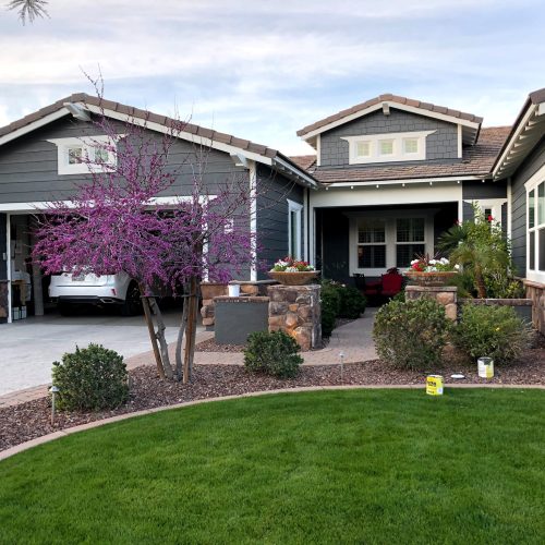 90271622_110451677260701_5601440250875346944_n (1)